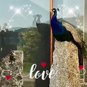 Meet your Posher, Nicky